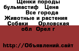 Щенки породы бульмастиф › Цена ­ 25 000 - Все города Животные и растения » Собаки   . Орловская обл.,Орел г.